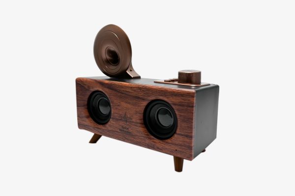 Haut-parleur et radio fm sans fil music apollo b6