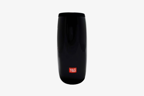 Haut-parleur t&g model tg113